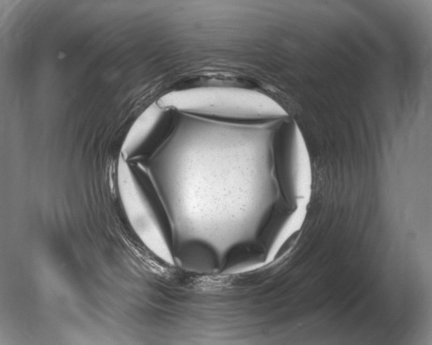 X0000080200094200612302349