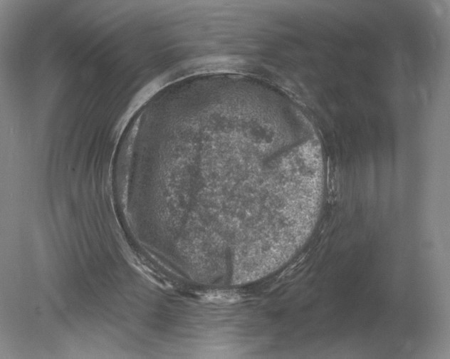 X0000080200099200612302348