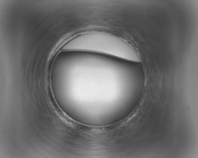 X0000080200101200612302348