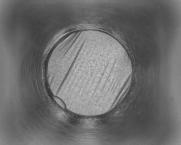 X0000080200103200612302348