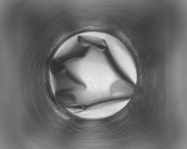 X0000080200106200612302348