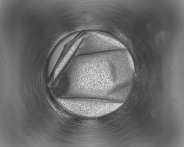 X0000080200107200612302348