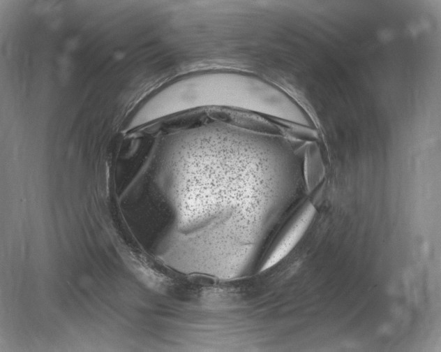 X0000080200109200612302348