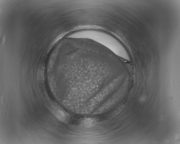 X0000080200111200612302348