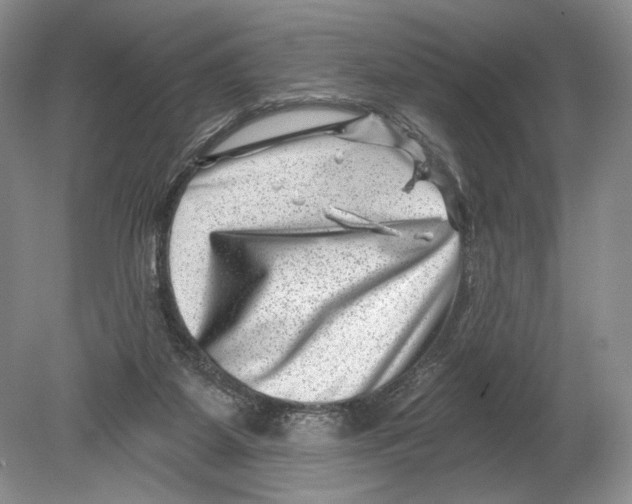 X0000080200115200612302348