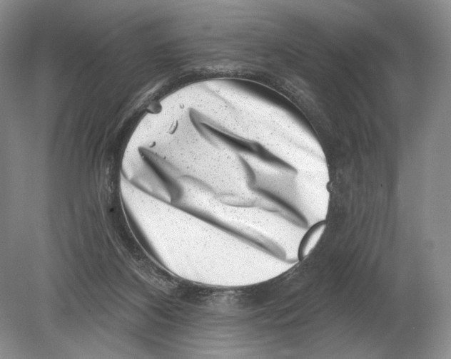 X0000080200116200612302348