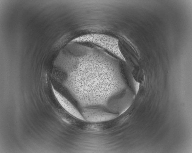 X0000080200117200612302348