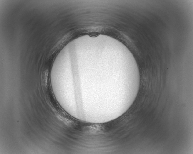 X0000080200118200612302348