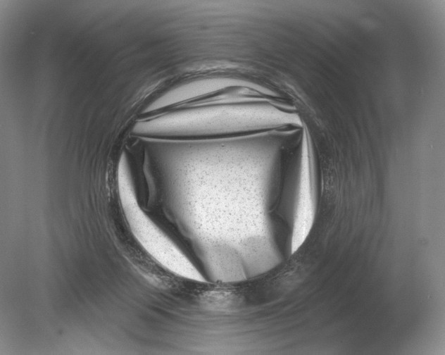 X0000080200119200612302348