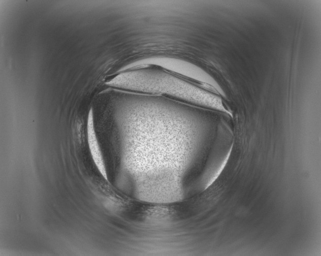 X0000080200123200612302348