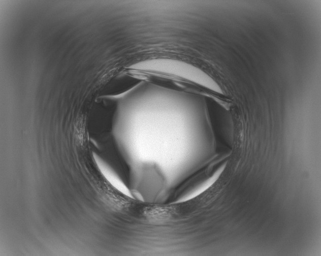 X0000080200129200612302347