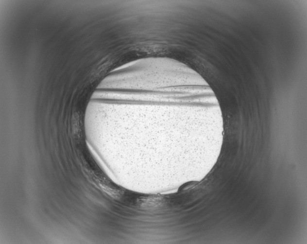 X0000080200132200612302347