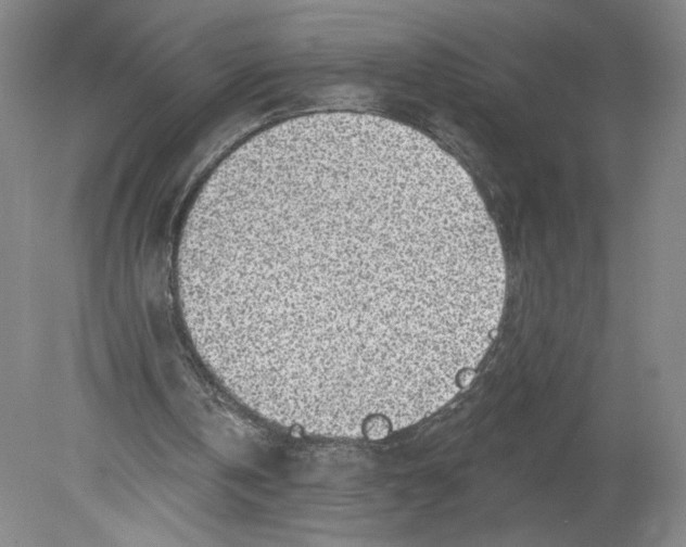 X0000080200146200612302346