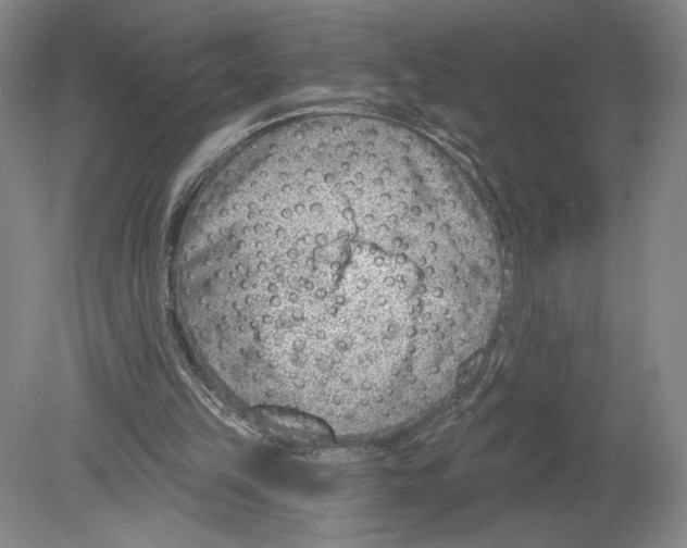 X0000080200149200612302346