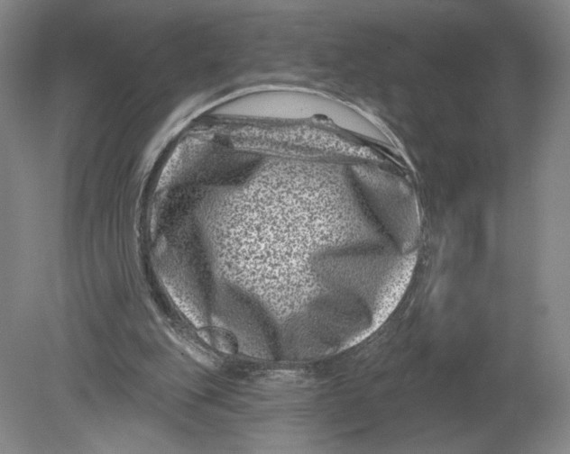 X0000080200151200612302346