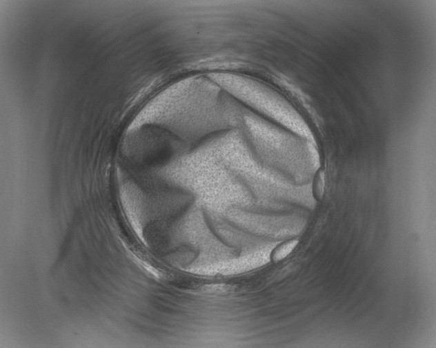 X0000080200153200612302347