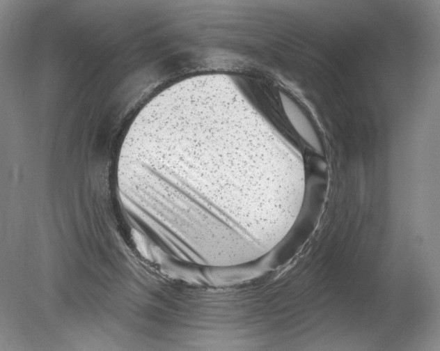 X0000080200154200612302347