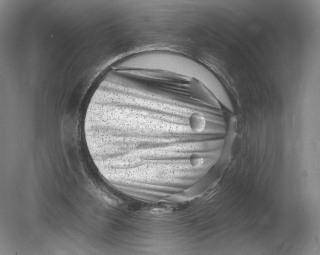 X0000080200156200612302347