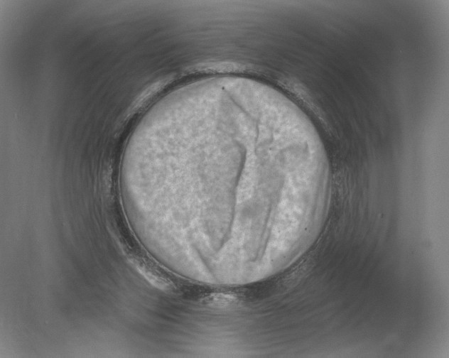 X0000080200159200612302347