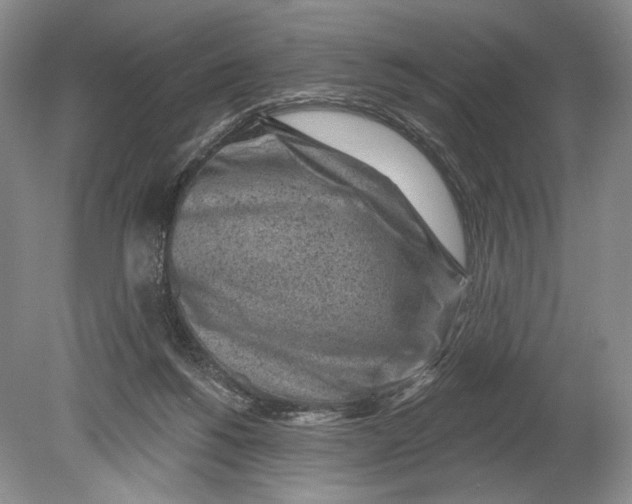 X0000080200168200612302347