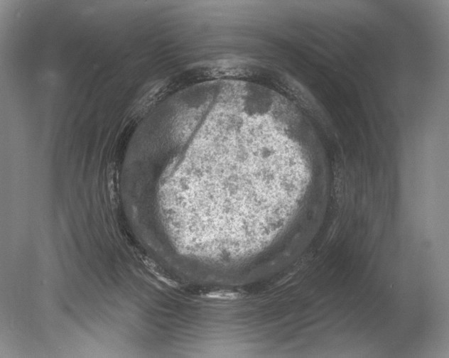 X0000080200169200612302347