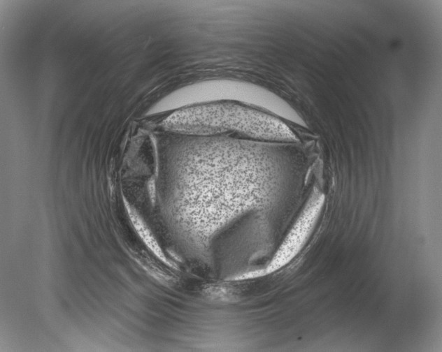 X0000080200174200612302347