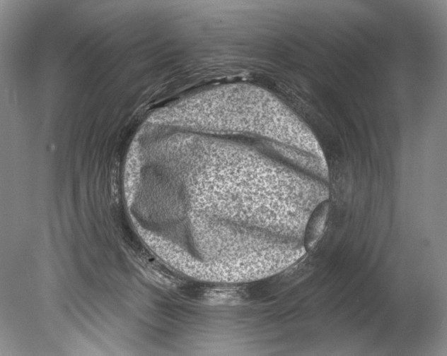 X0000080200175200612302347