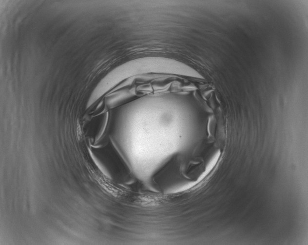 X0000080200190200612302347