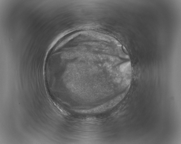 X0000080200196200612302346