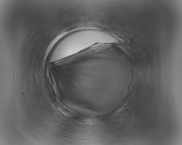 X0000080200200200612302346