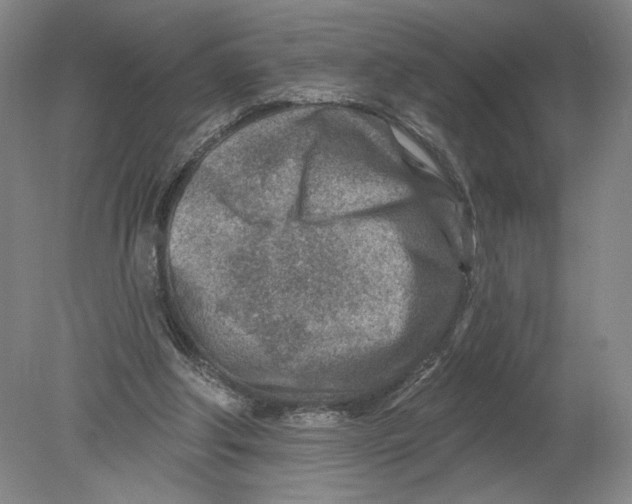 X0000080200202200612302346