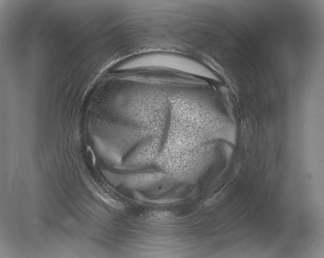 X0000080200203200612302346