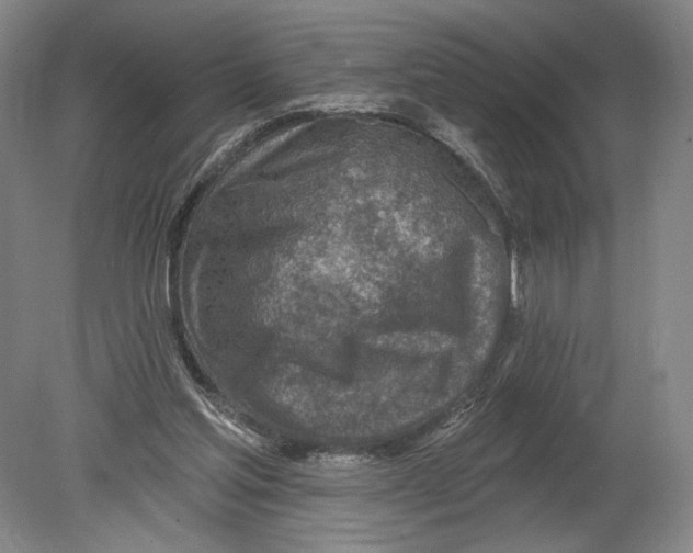 X0000080200205200612302346