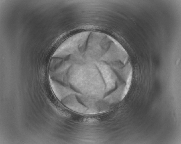 X0000080200208200612302346