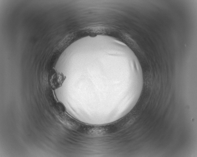 X0000080200213200612302346