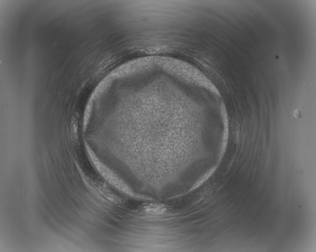 X0000080200214200612302346