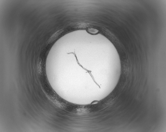 X0000080200216200612302346