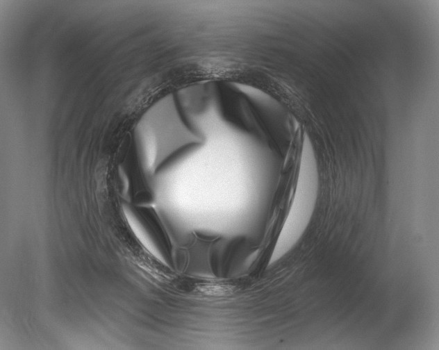 X0000080200221200612302346