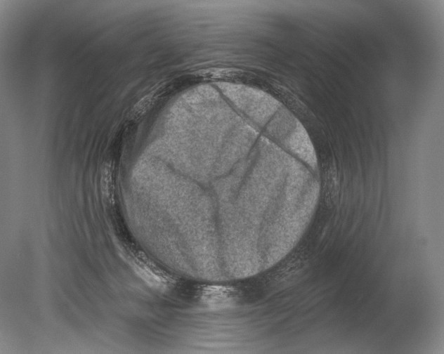 X0000080200222200612302346