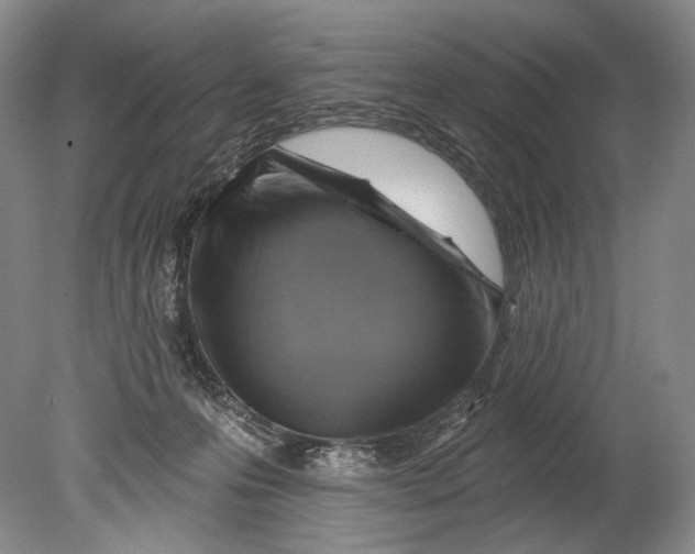 X0000080200223200612302346