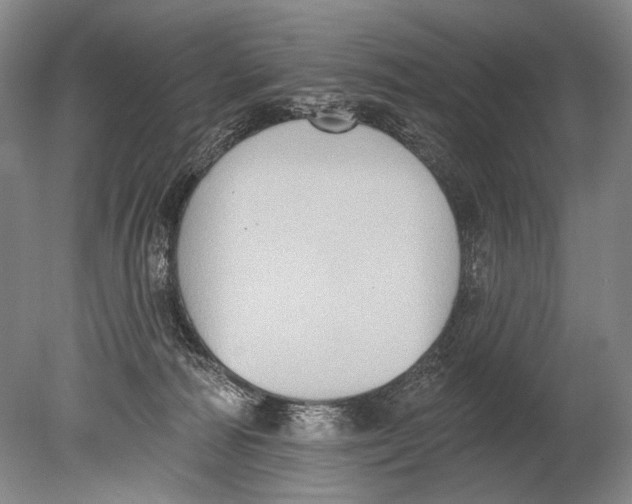 X0000080200226200612302346