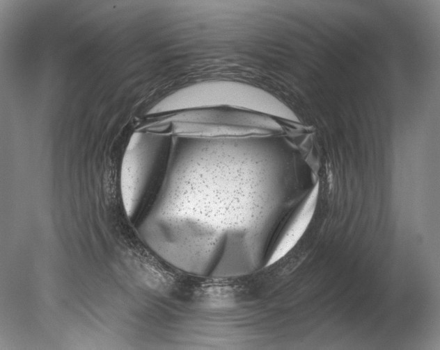 X0000080200228200612302346