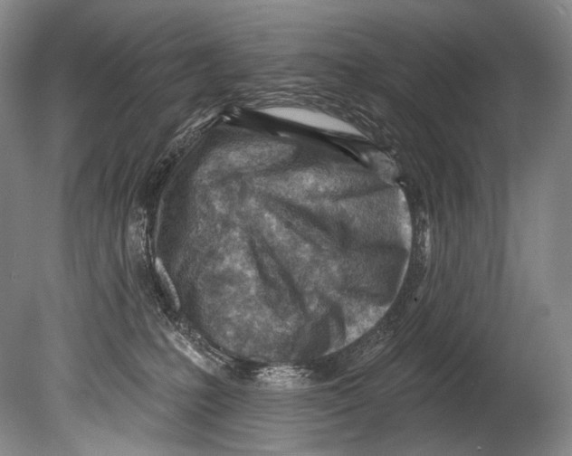 X0000080200231200612302346