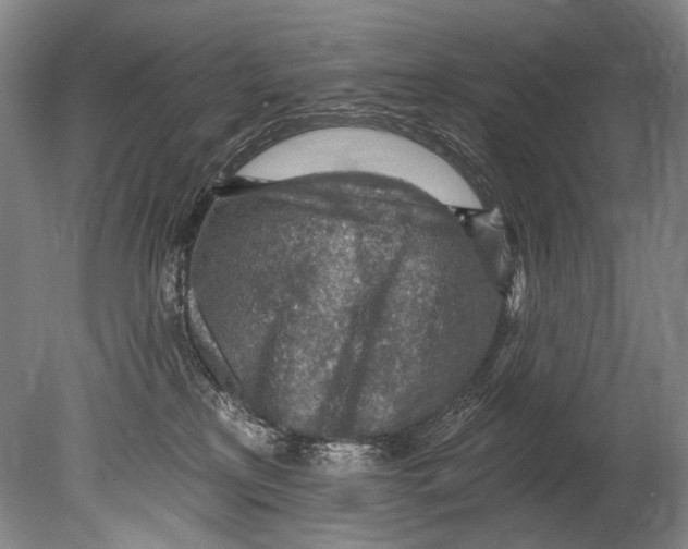 X0000080200233200612302346