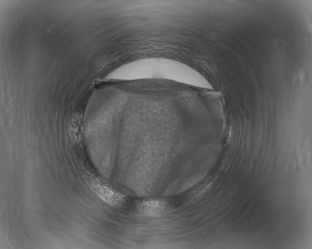 X0000080200237200612302346