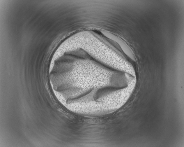 X0000080200241200612302345