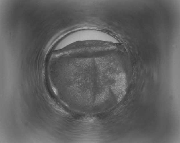 X0000080200247200612302345