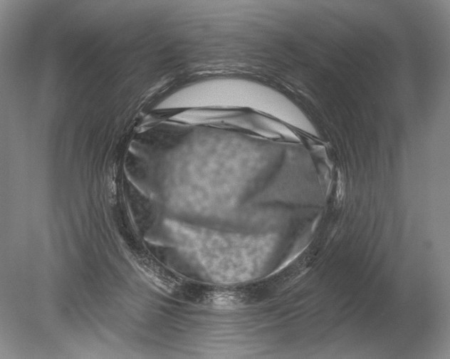 X0000080200264200612302345