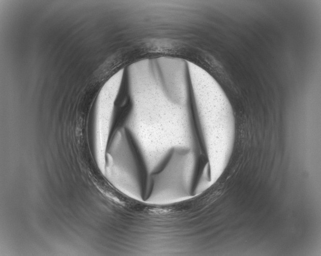 X0000080200265200612302345