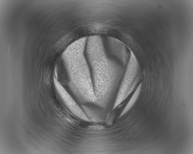 X0000080200266200612302345